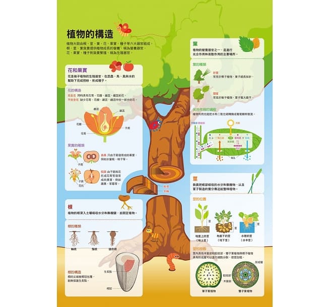 漫畫大英百科 生物地科 （11～15集）